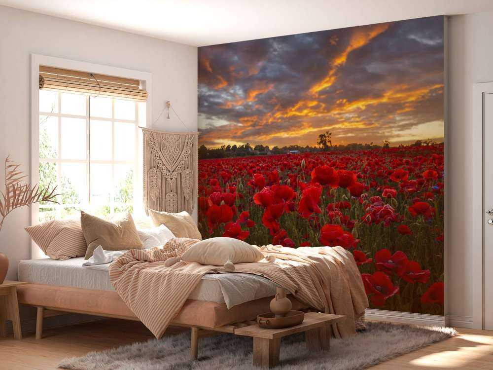 Poppies field with beautiful sky