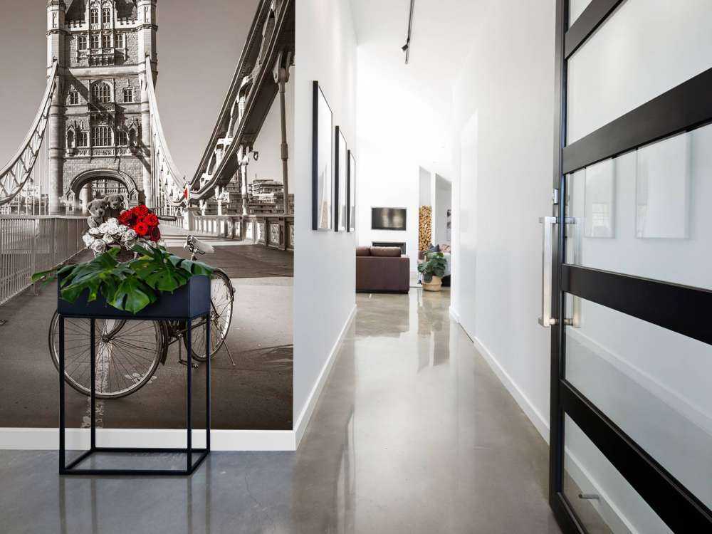 Puppies in a bicycle basket