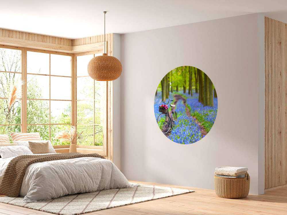 Bicycle in the forest