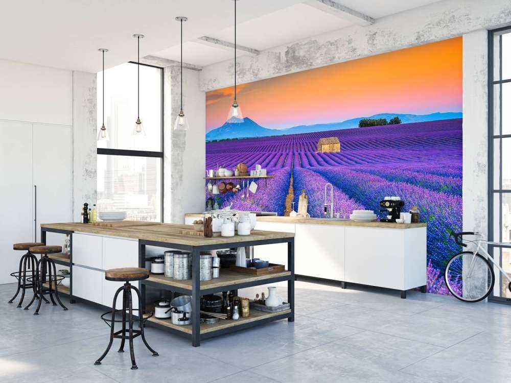 Prachtig bloemenveld van lavendel