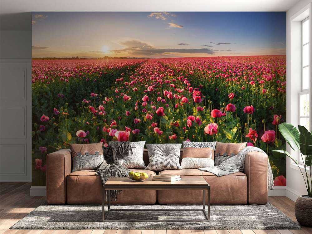 Pink poppies field
