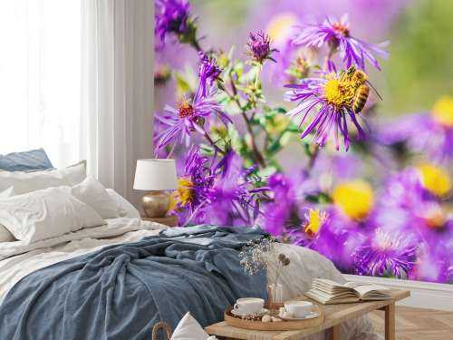 Purple flowers