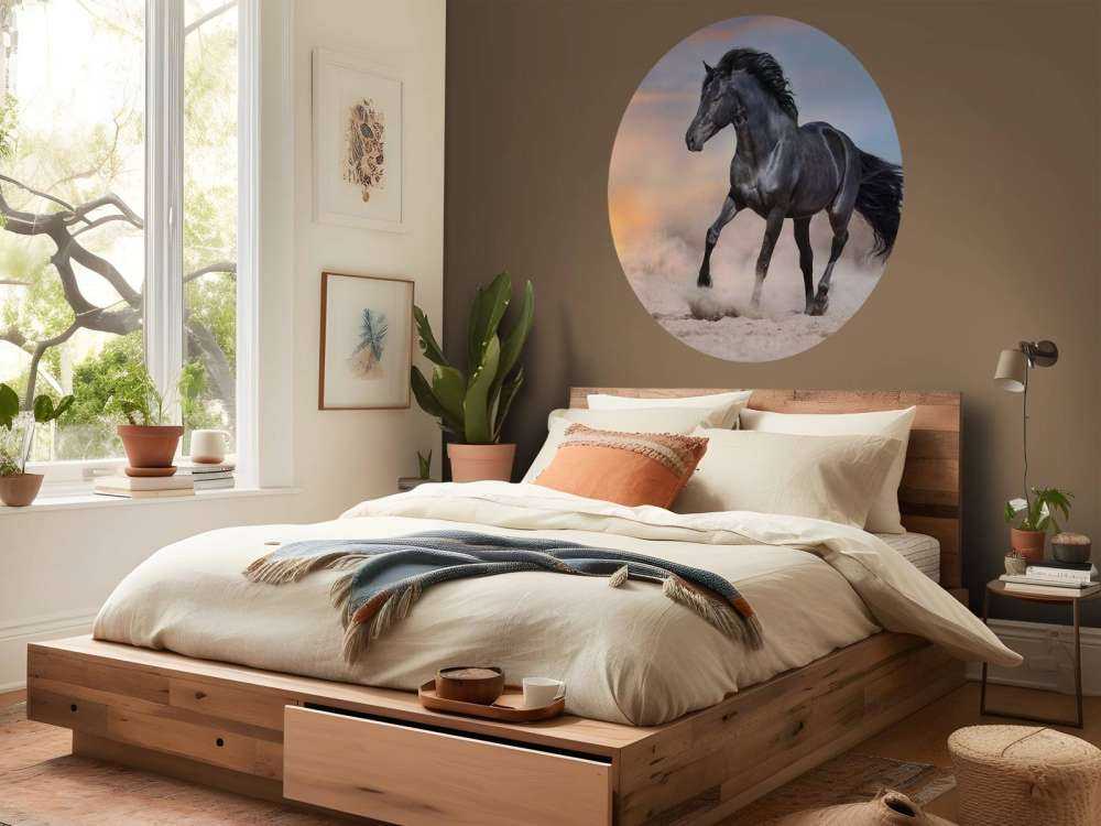 Mooi Zwart Paard in Zand