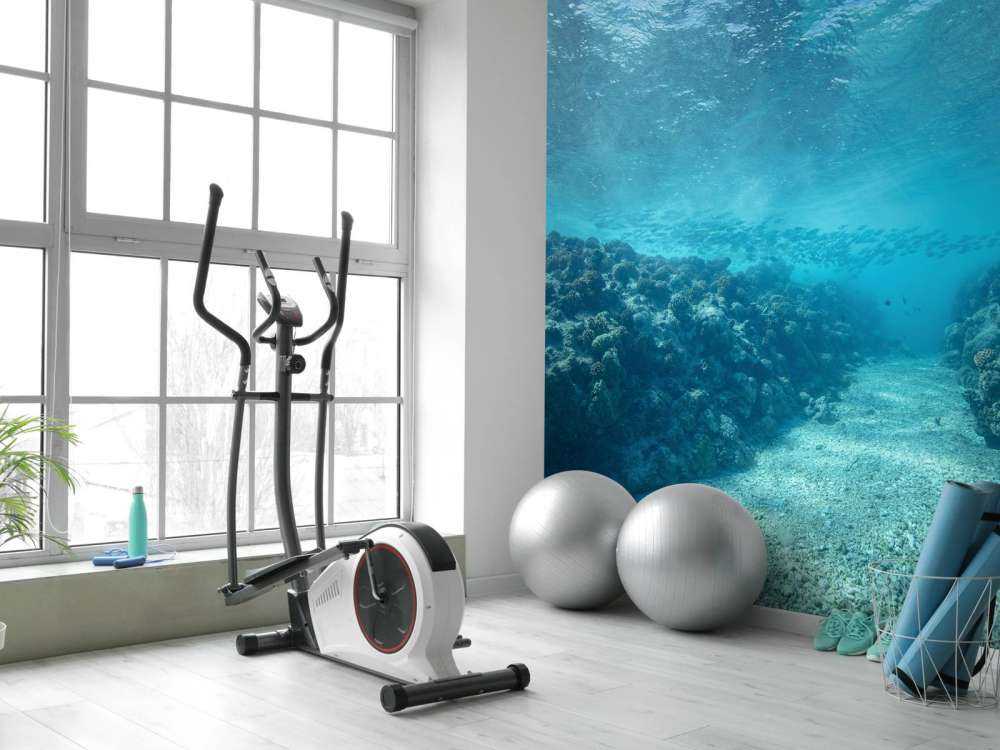 Underwater world with coral