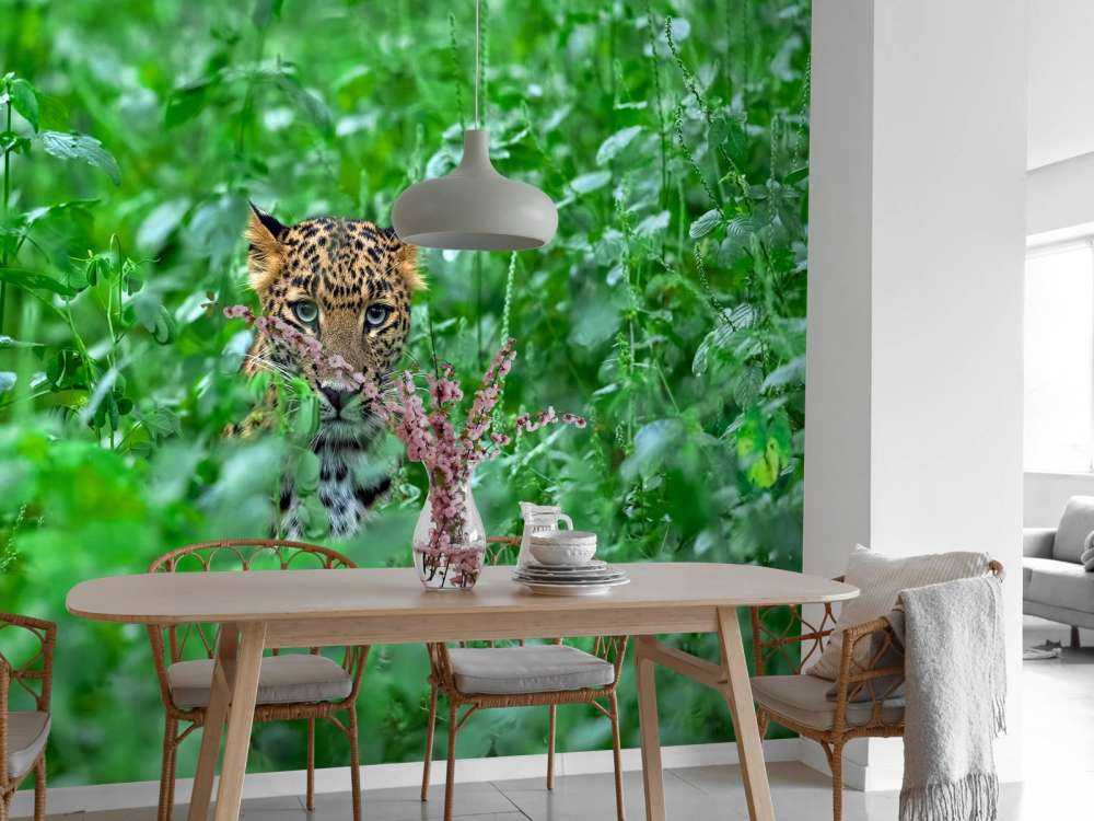 Leopard in the forest