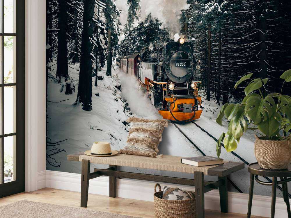 The Hogwarts Express