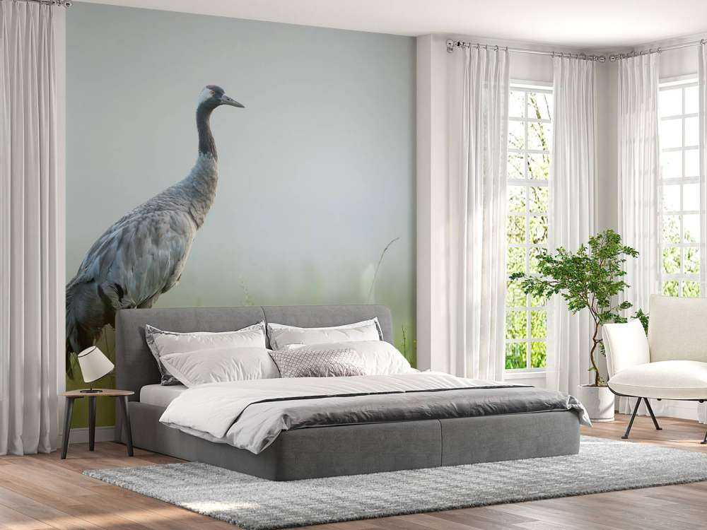 Crane in the morning mist