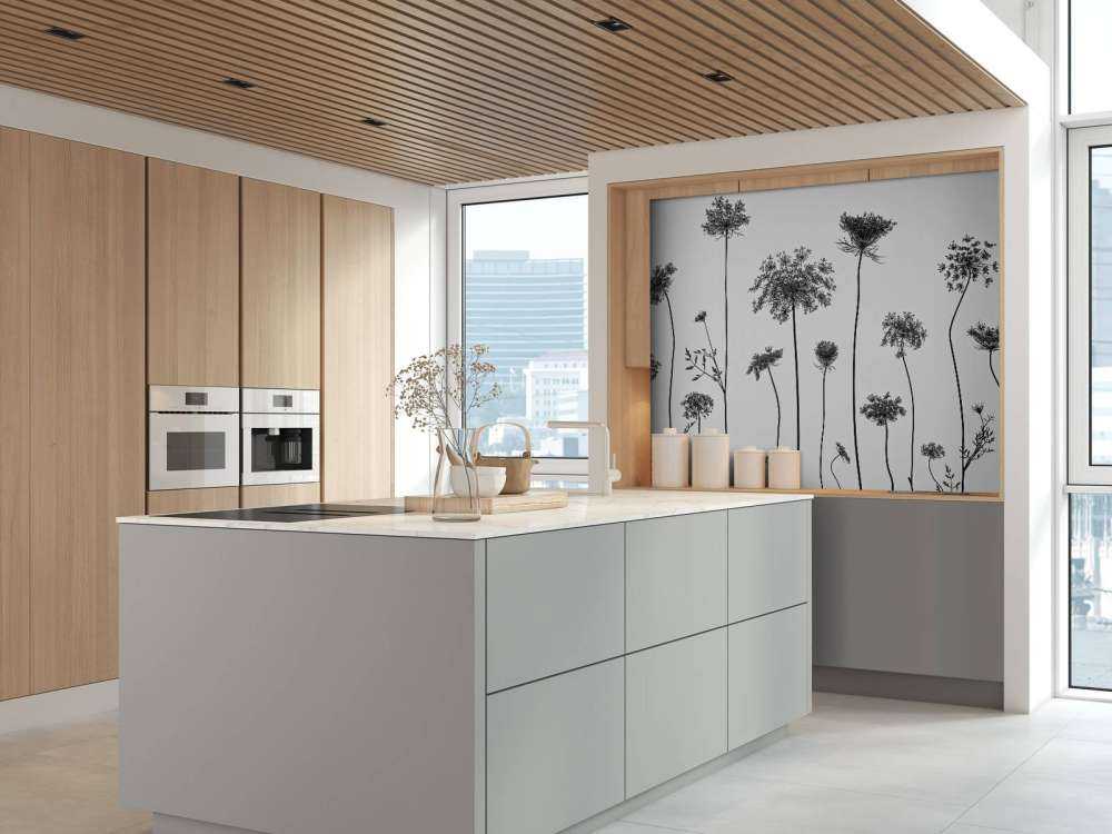 Cow parsley in black and white