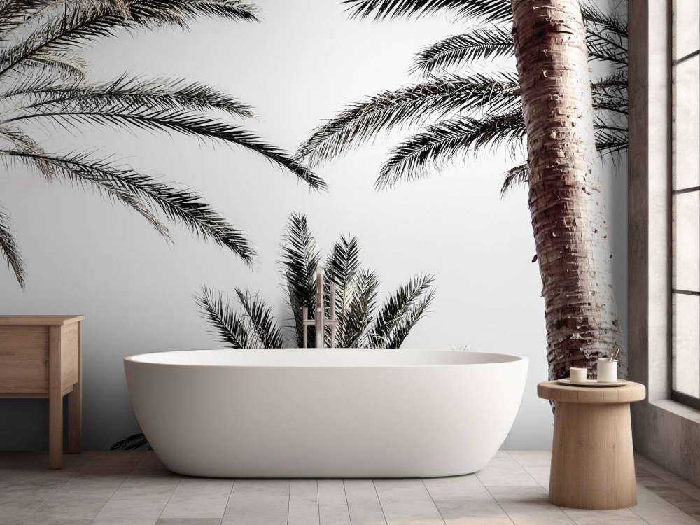 Palmtrees in the sun