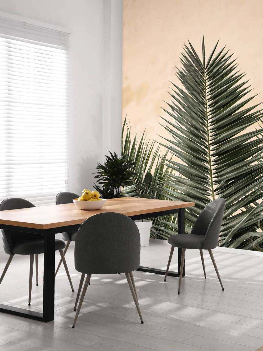 Palm leaves and wall