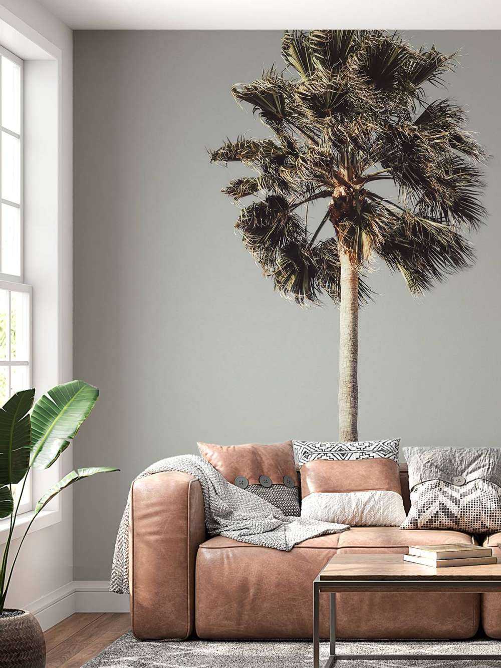 Windy Palm 