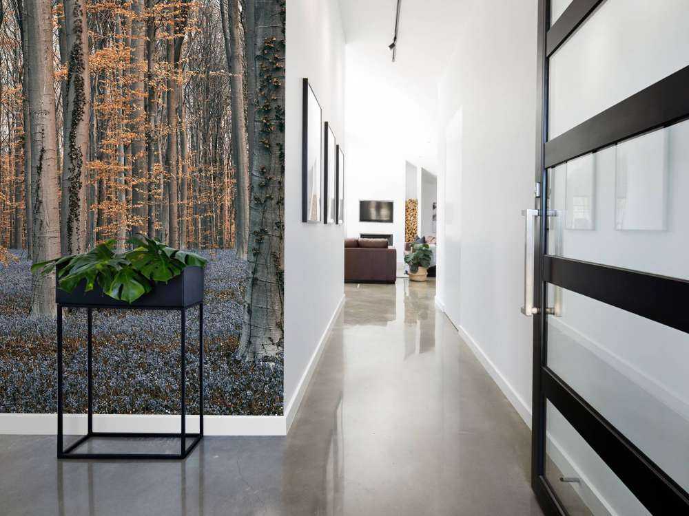 Forest with pastel shades