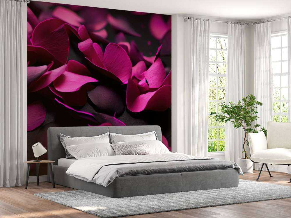 Dark pink hydrangeas