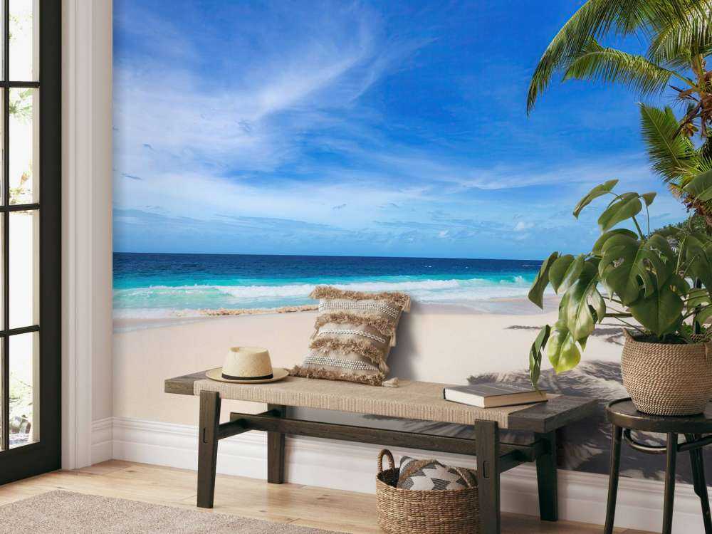 Tropical beach with palm tree