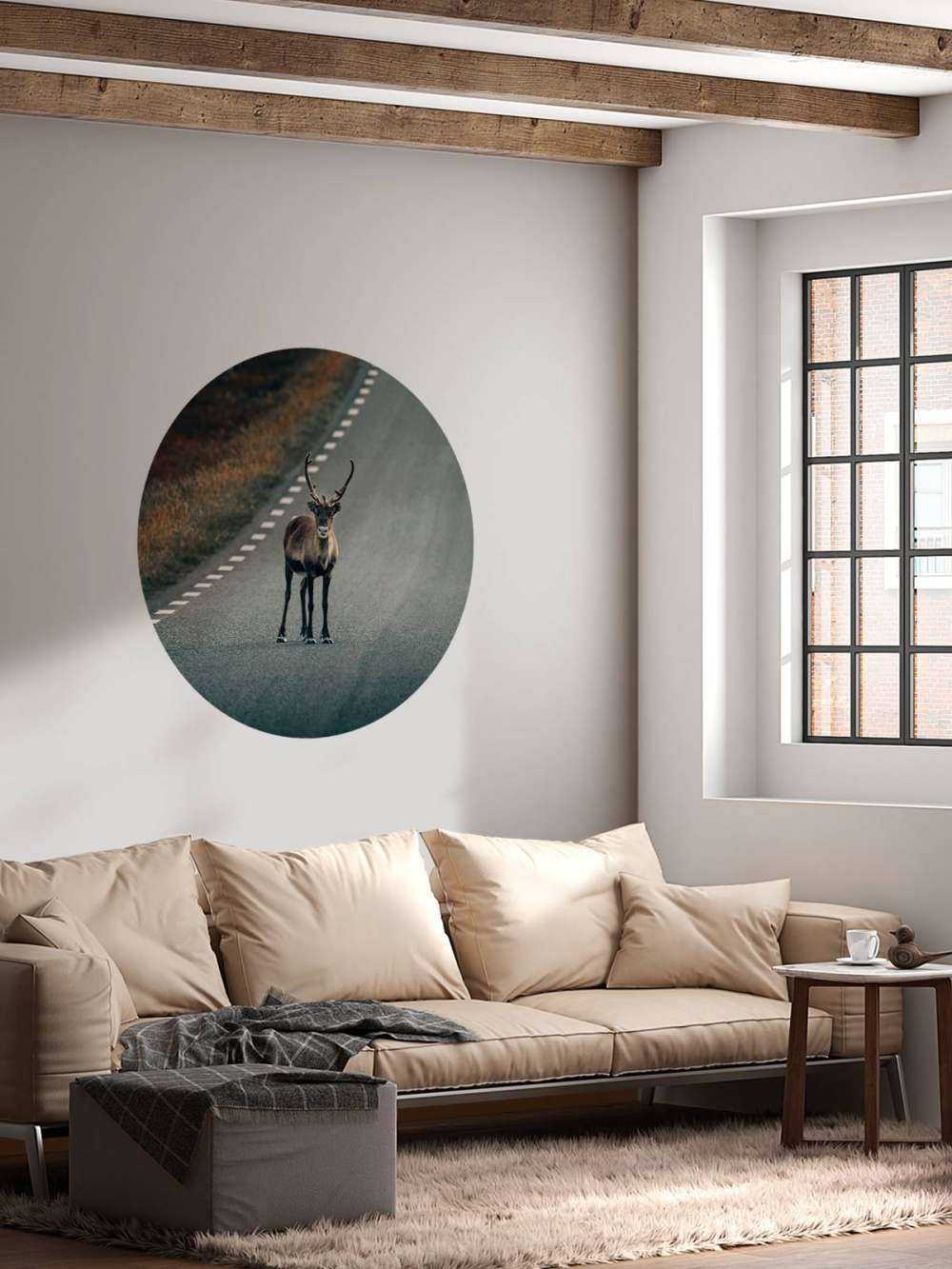 Reindeer on the road