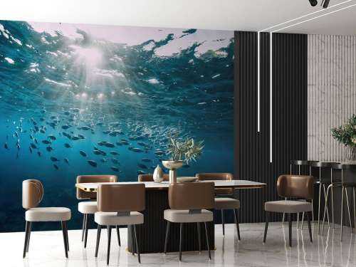School of fish