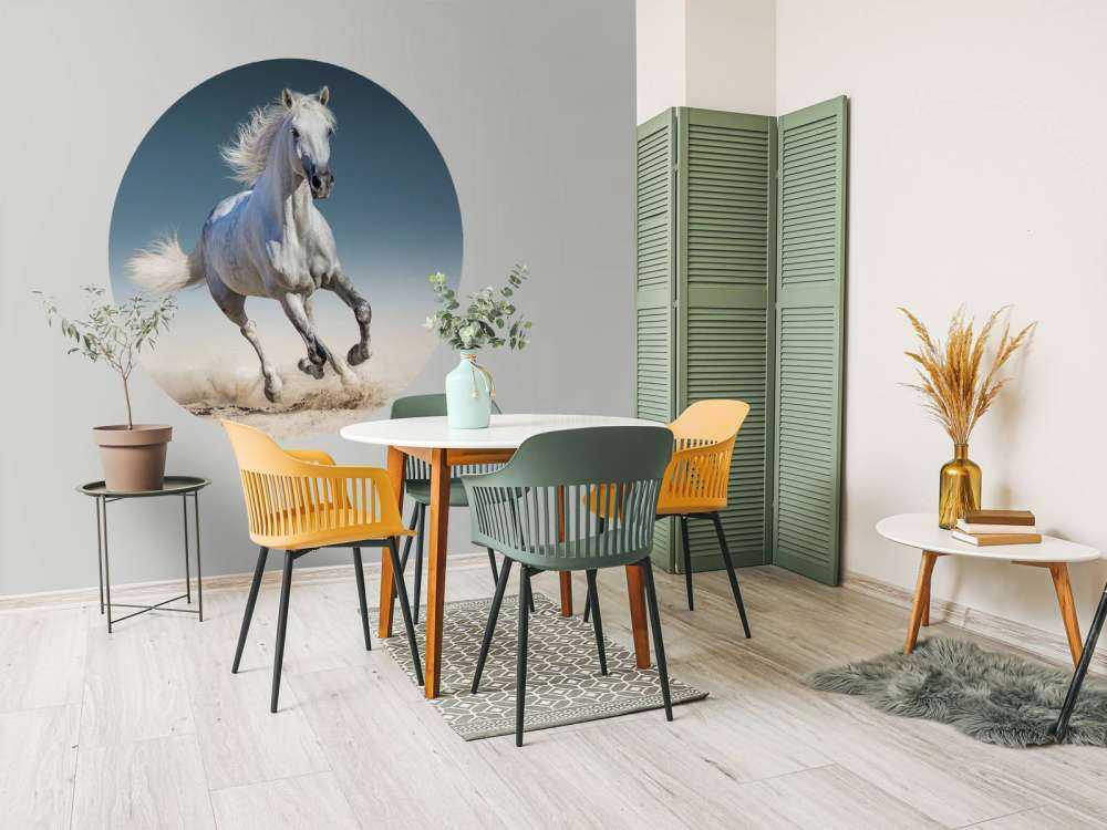 Galloping horse