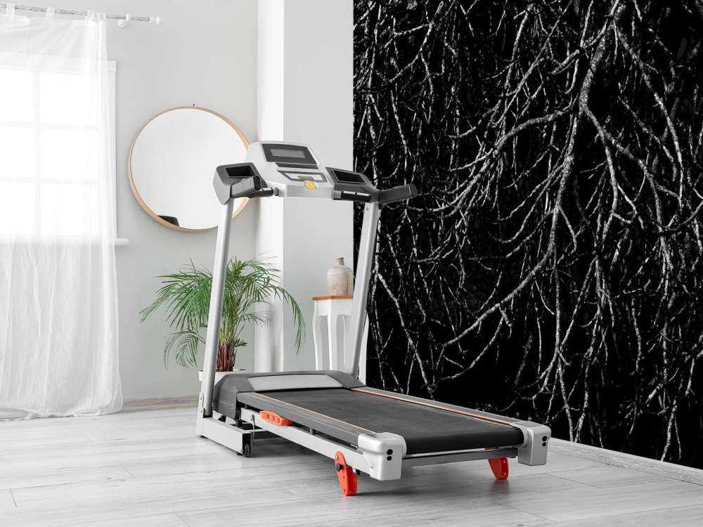 Boomtakken in zwart wit