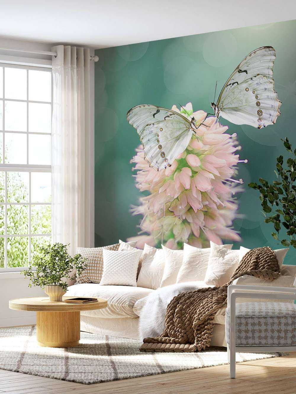 White butterflies