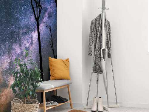 Stars between the trees