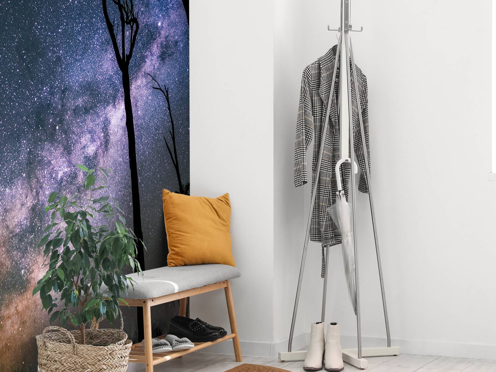 Stars between the trees