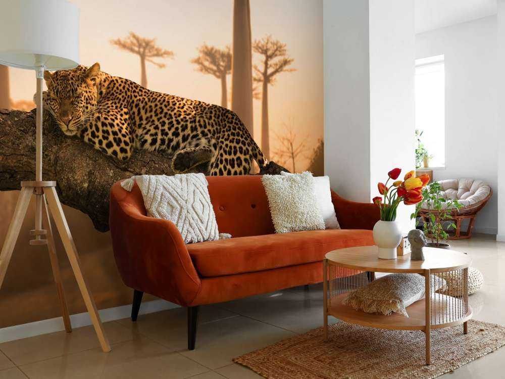 Sleeping leopard