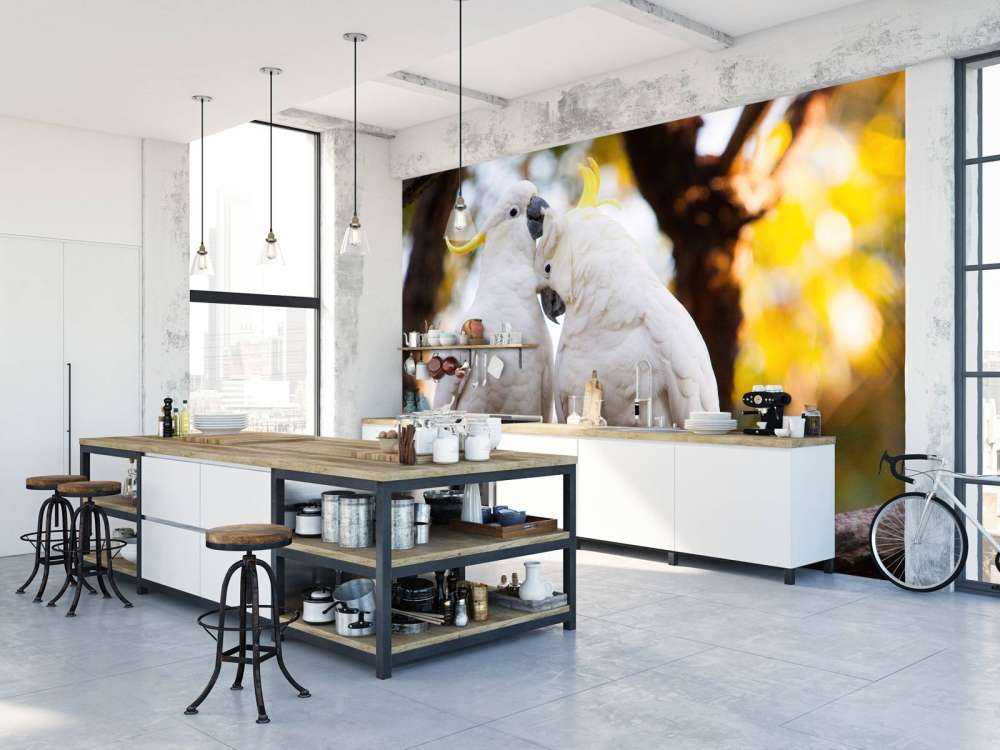 Cockatoo couple