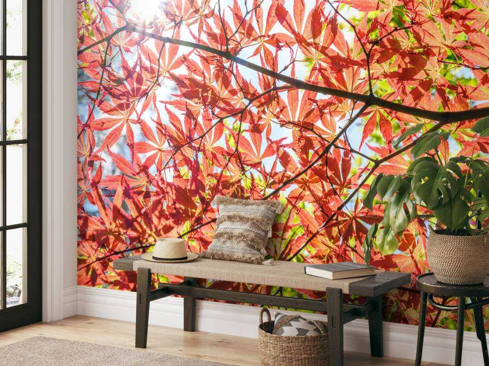 Red autumn leaves