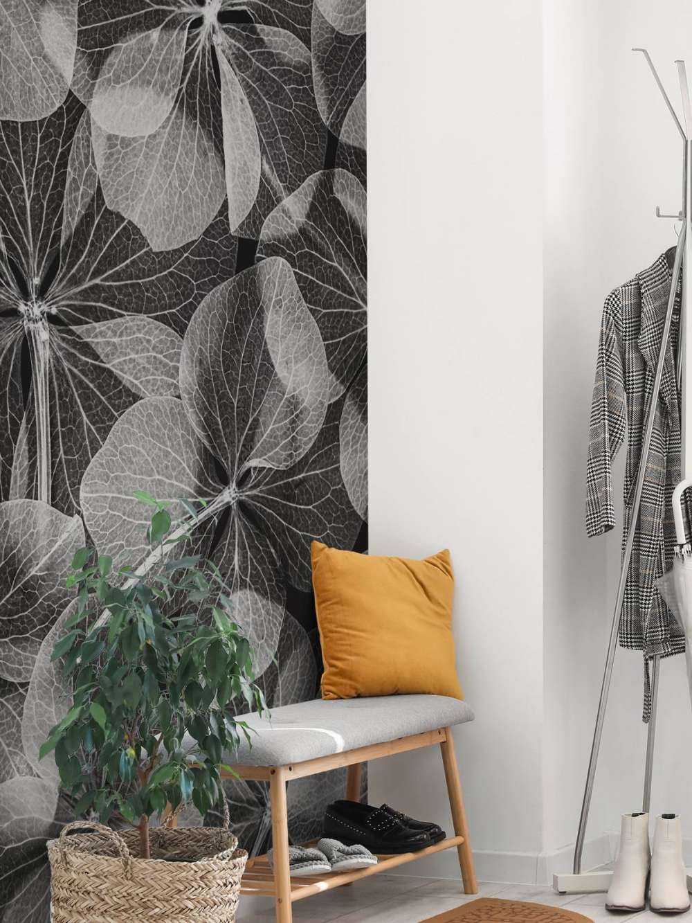 Botanical Black&White