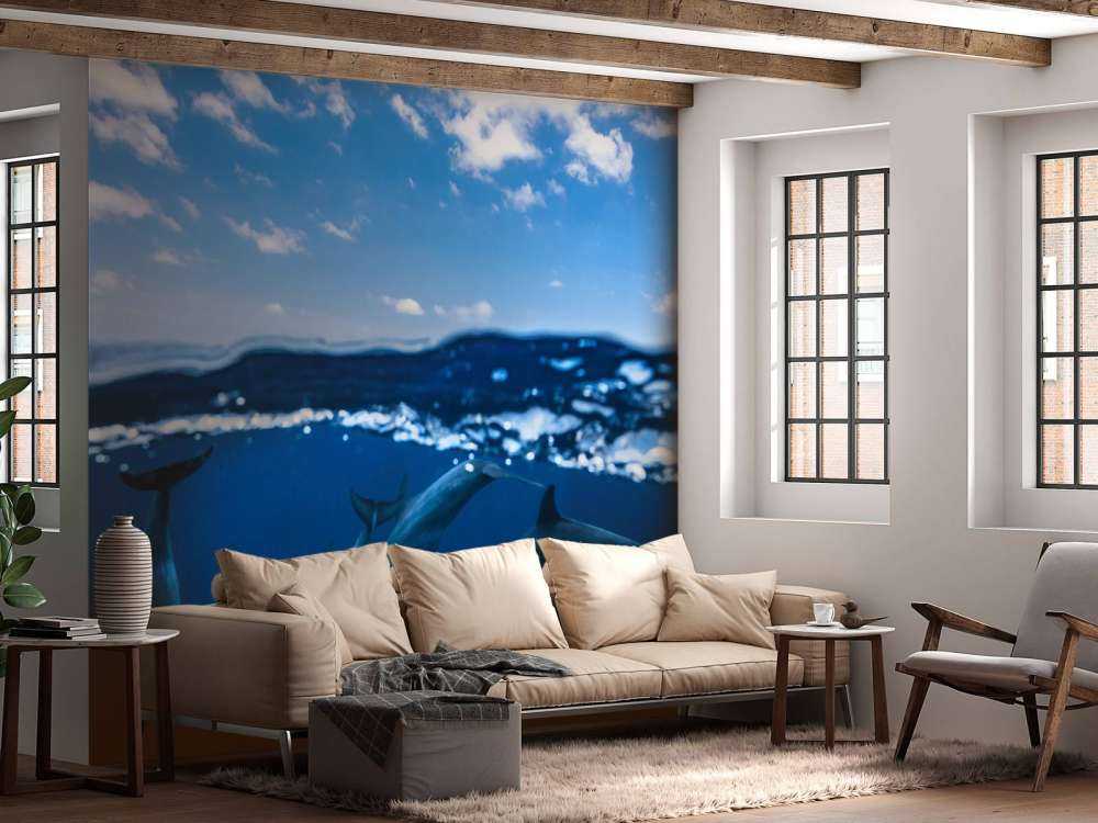 Between air and water with the dolphins