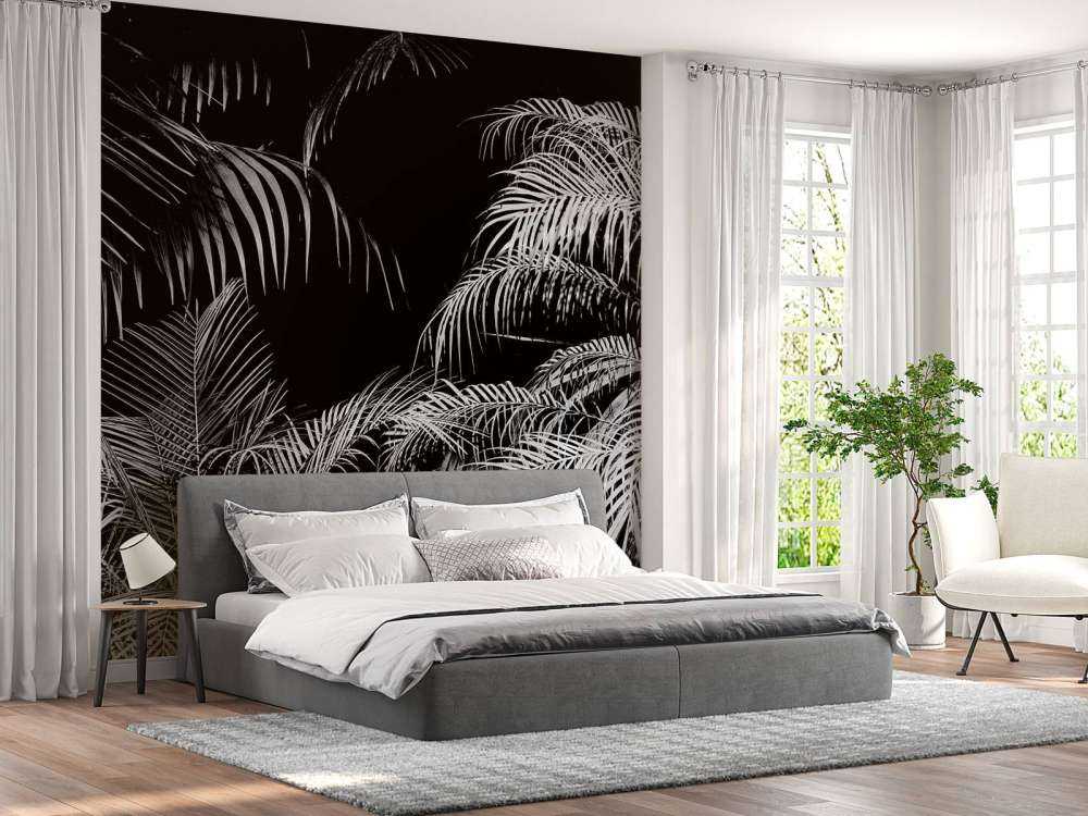 Plant with white leaves