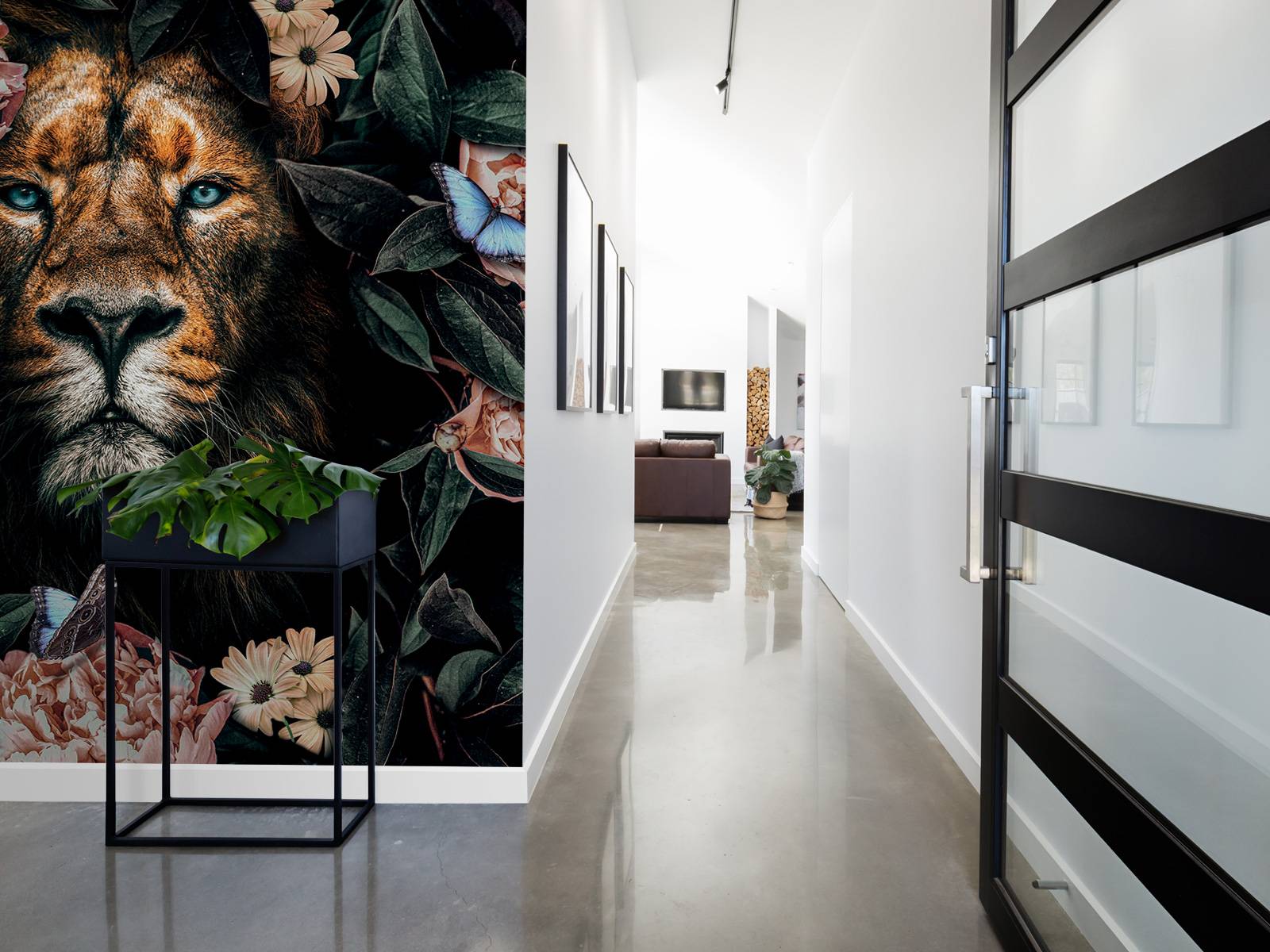 Jungle Lion