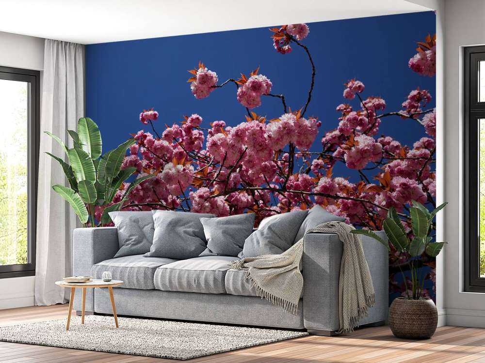 Pink blossom with blue sky