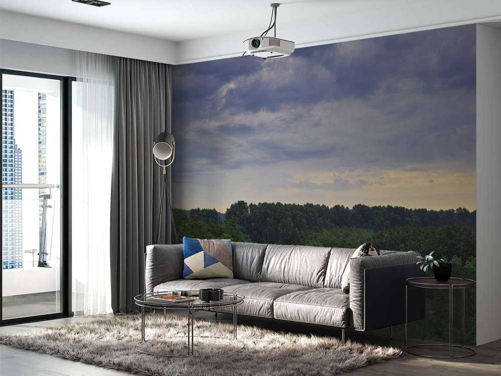 Dreigende wolken boven het bos