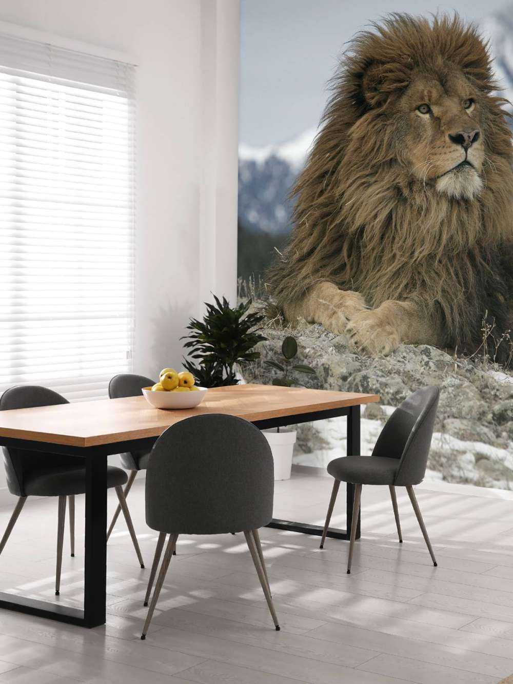 Barbary lion