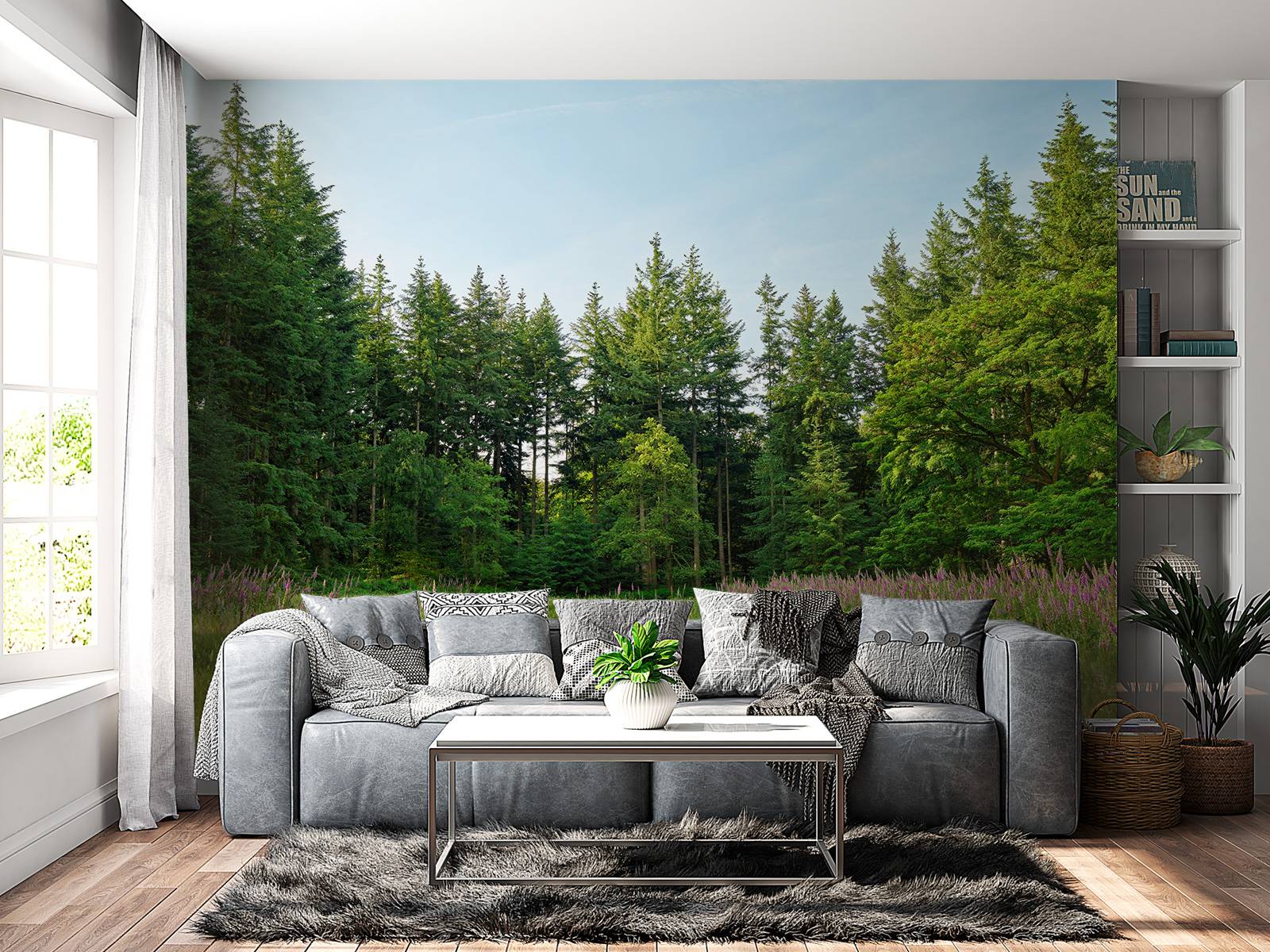 Open space in the forest 