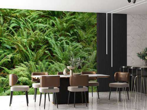 Green ferns
