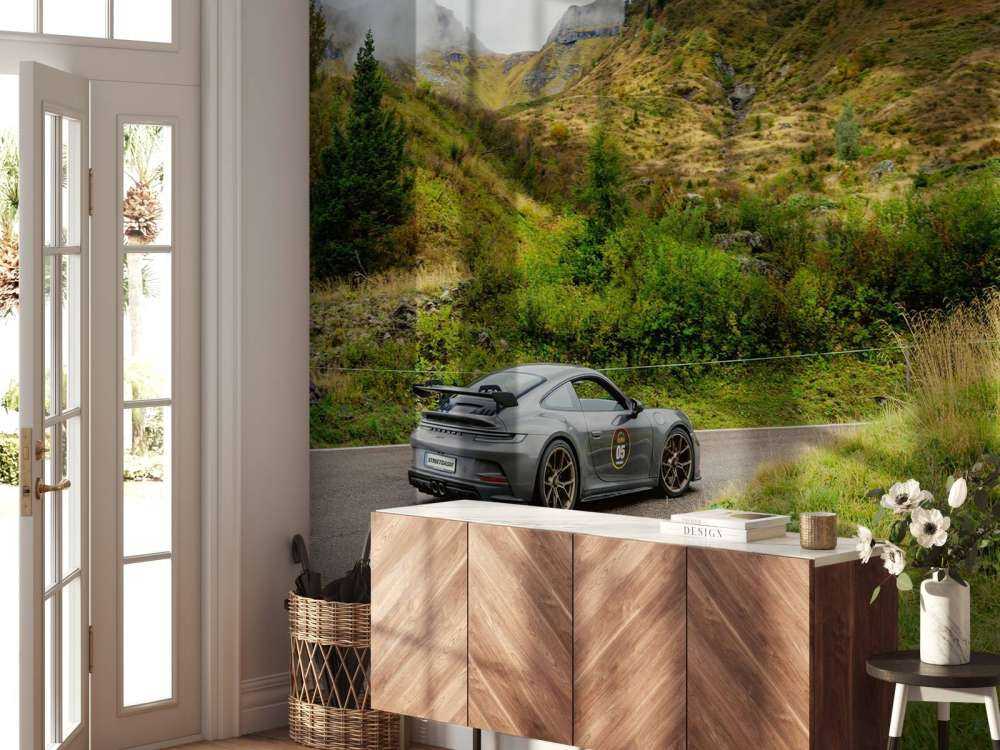 Sports car in mountain mist