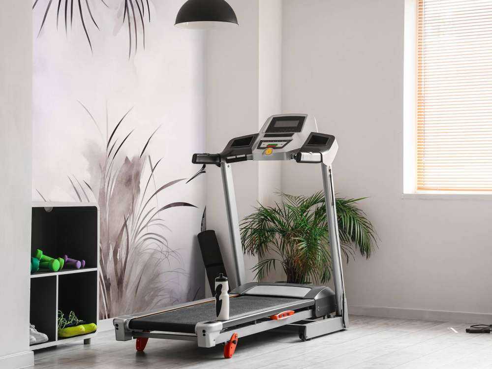 Cranes in a White Field