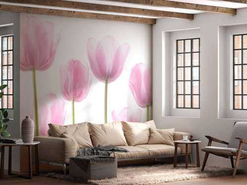 Pink Tulips