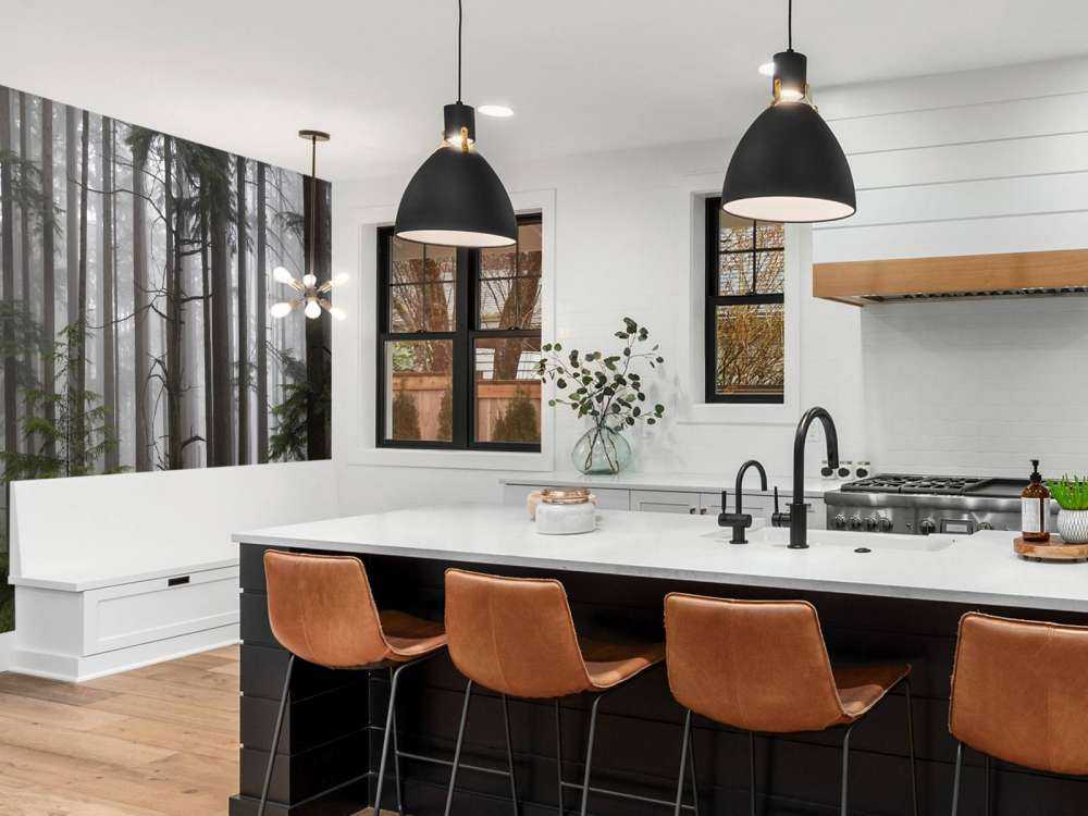 Forest during a foggy day