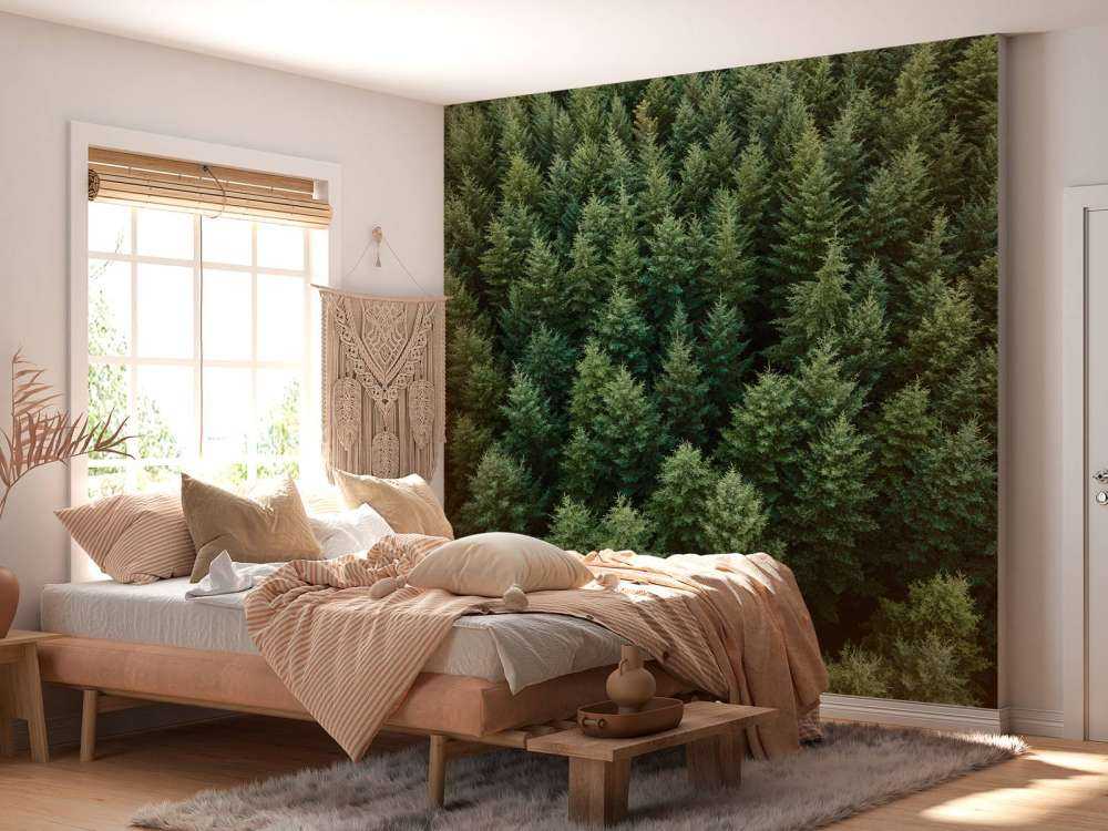 Douglas firs from above