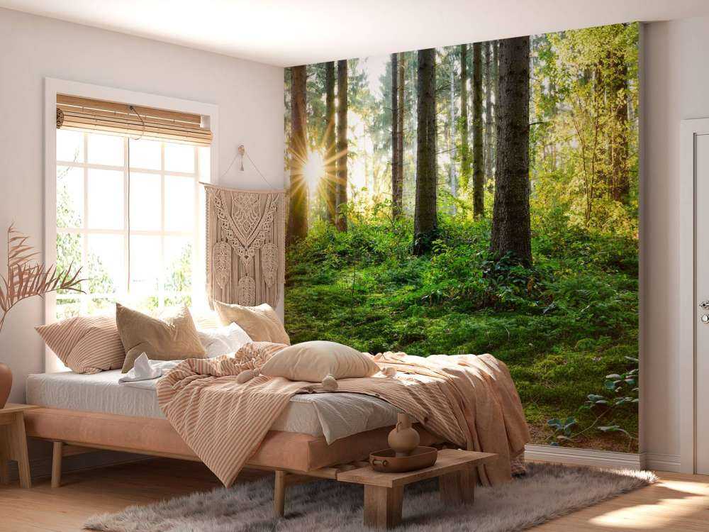 Forest panorama in spring