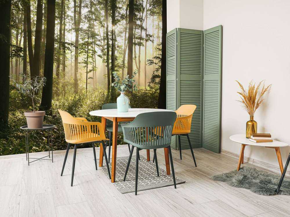 Foggy deciduous forest