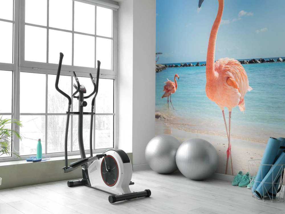 Flamingo on the beach