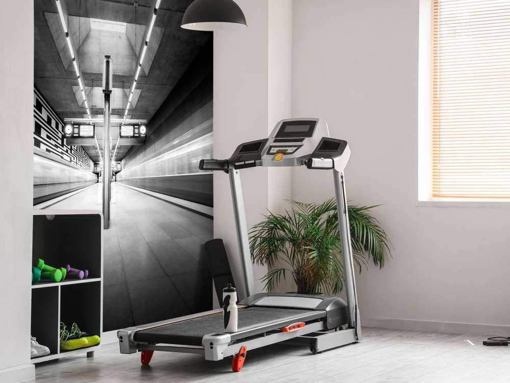 The fast and the furious