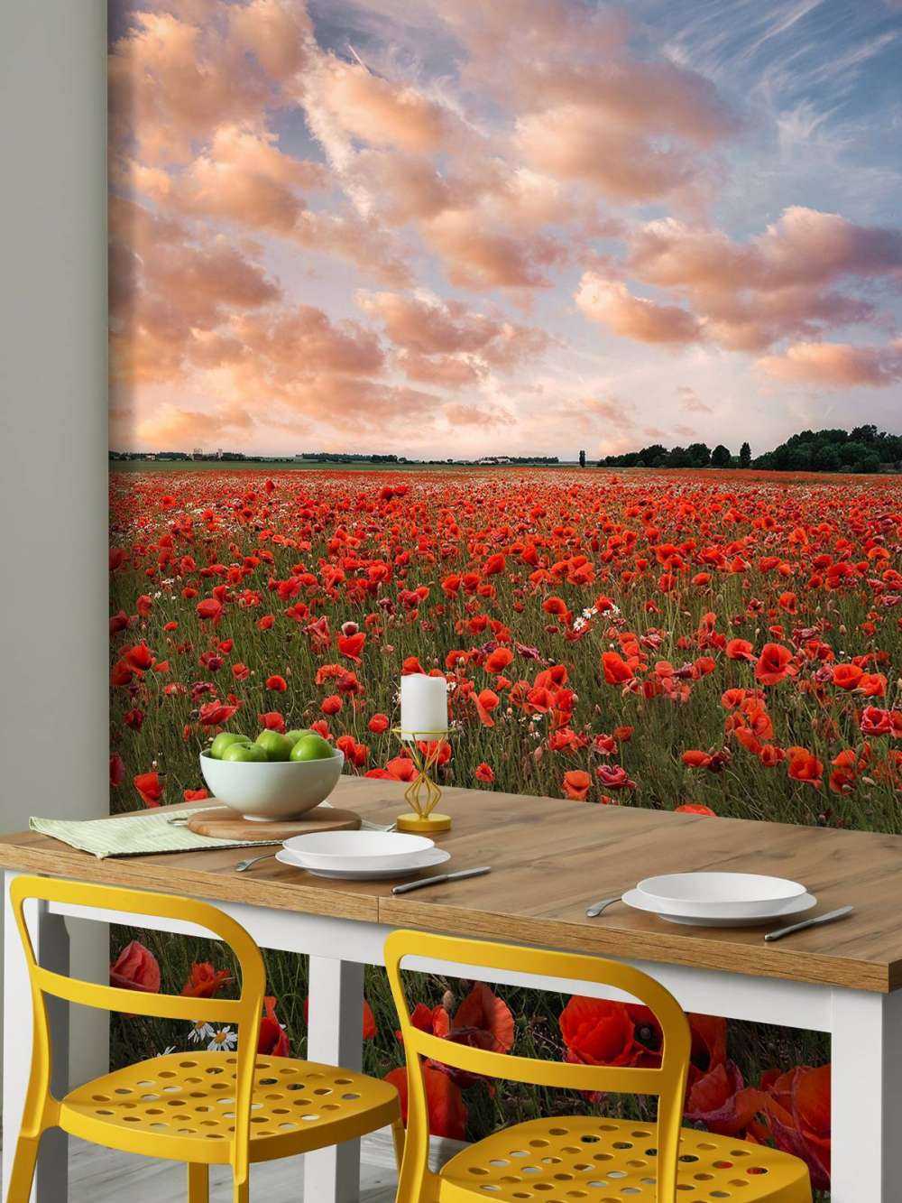 Poppy field in Sweden