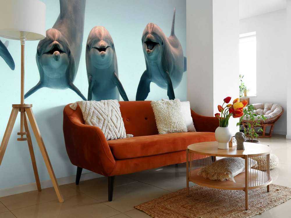Laughing dolphins