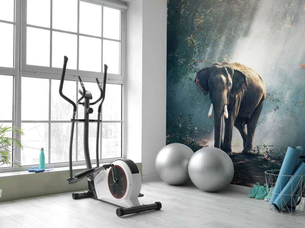 Elephant in a jungle