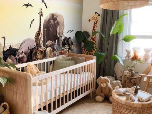 Animals in Africa